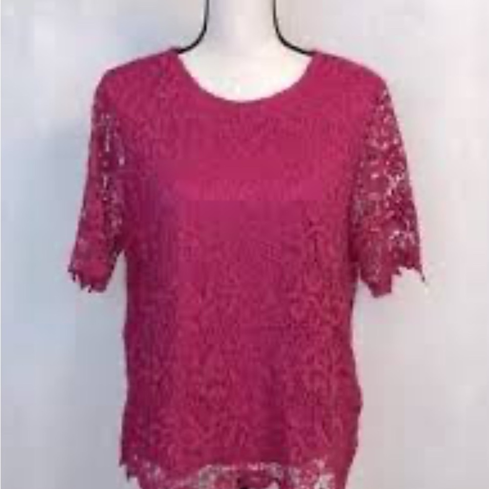 PHILOSOPHY Women's Short Sleeve Scoop Neck Lace Crochet Top Blouse Lining Size L
